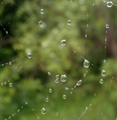 P1073890a.jpg